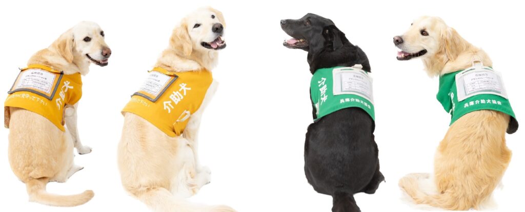 介助犬トレーナーサポート部（特定非営利活動法人兵庫介助犬協会）