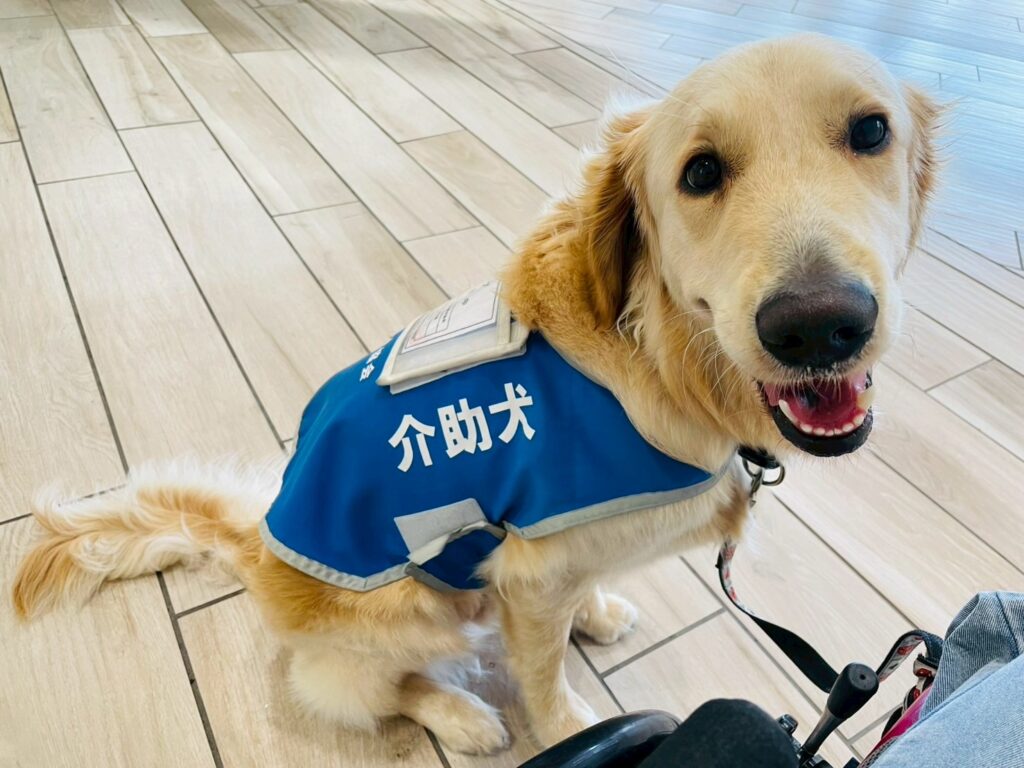 介助犬トレーナーサポート部（特定非営利活動法人兵庫介助犬協会）